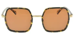Katherine gold tortoiseshell sunglasses